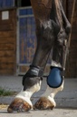 NORTON “Fleece” fetlock guards, vue 5