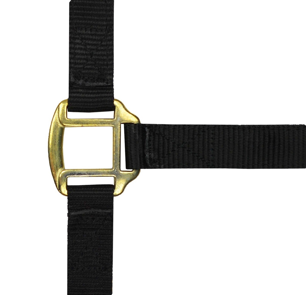 NORTON nylon licol lined avec cuir, vue 3