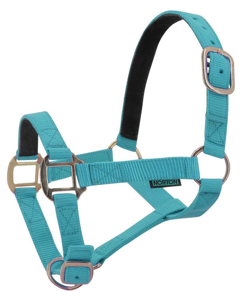 NORTON nylon licol lined avec cuir, vue 12