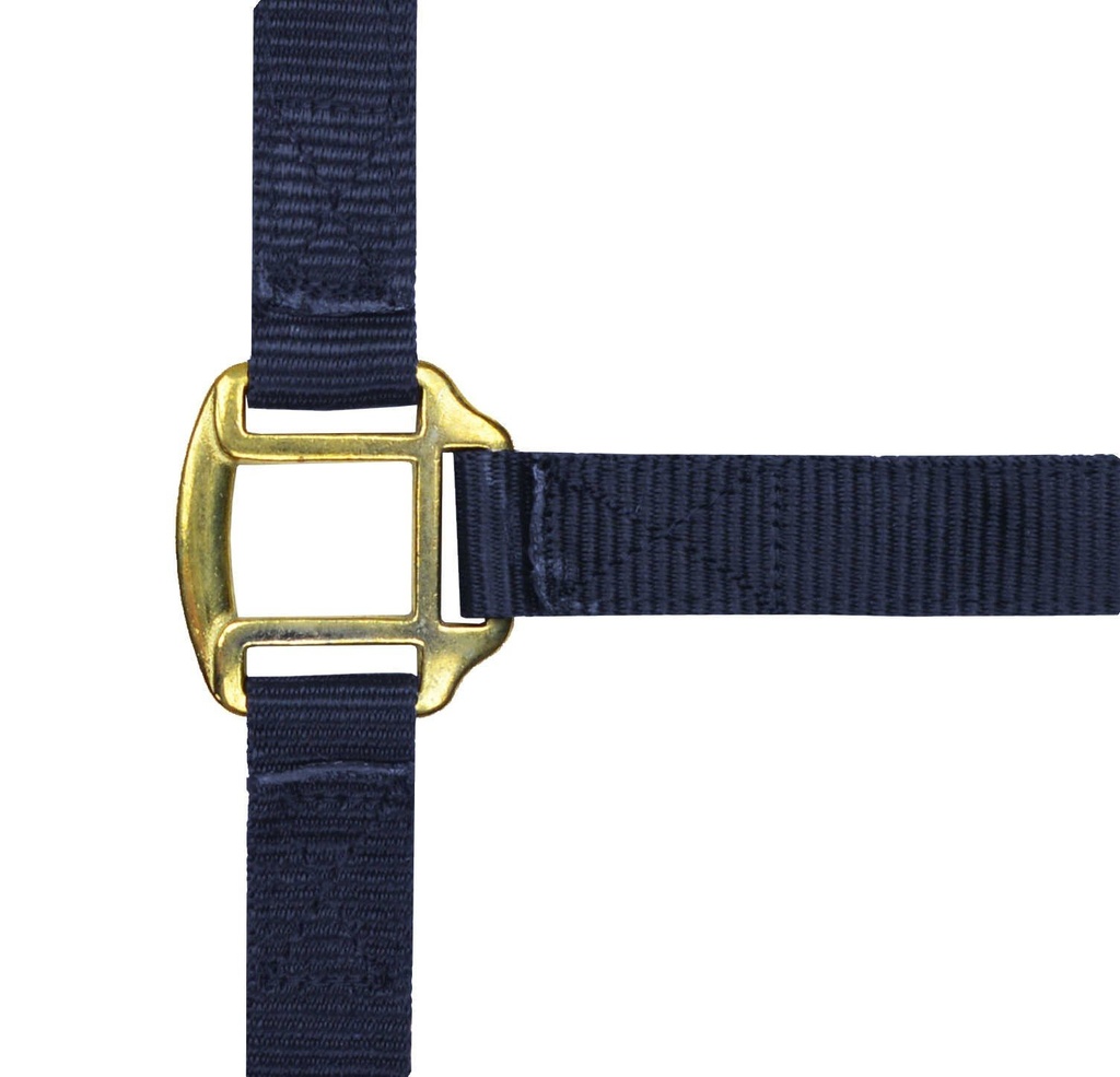 NORTON nylon licol lined avec cuir, vue 20