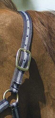 NORTON nylon licol lined avec cuir, vue 30