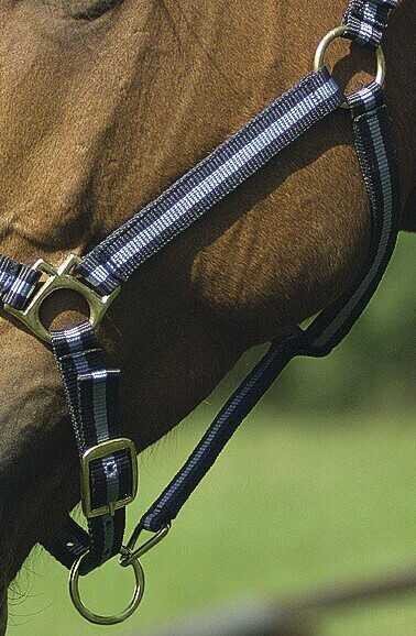 NORTON nylon licol lined avec cuir, vue 31