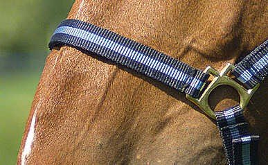 NORTON nylon licol lined avec cuir, vue 34