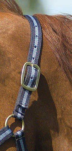 NORTON nylon licol lined avec cuir, vue 35