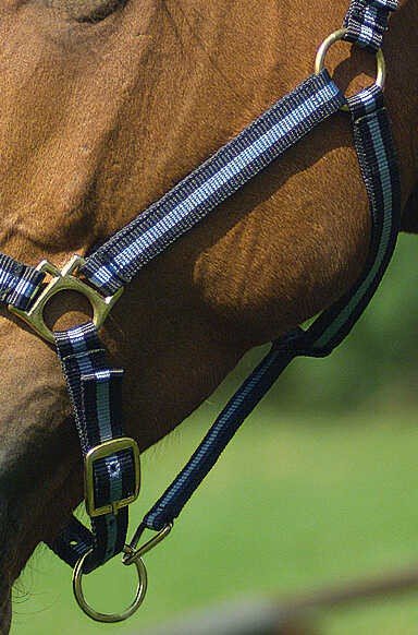 NORTON nylon licol lined avec cuir, vue 36