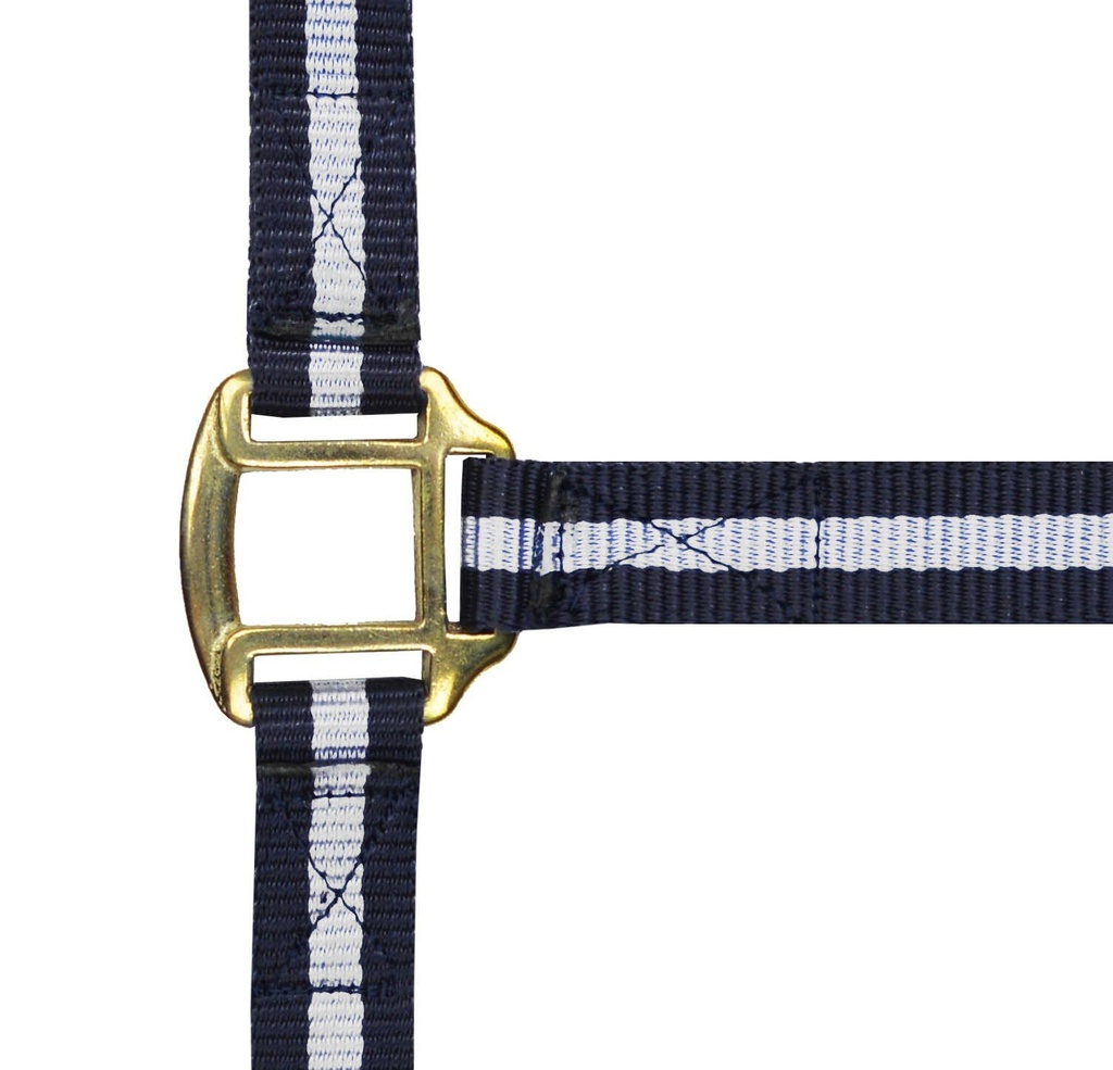 NORTON nylon licol lined avec cuir, vue 37
