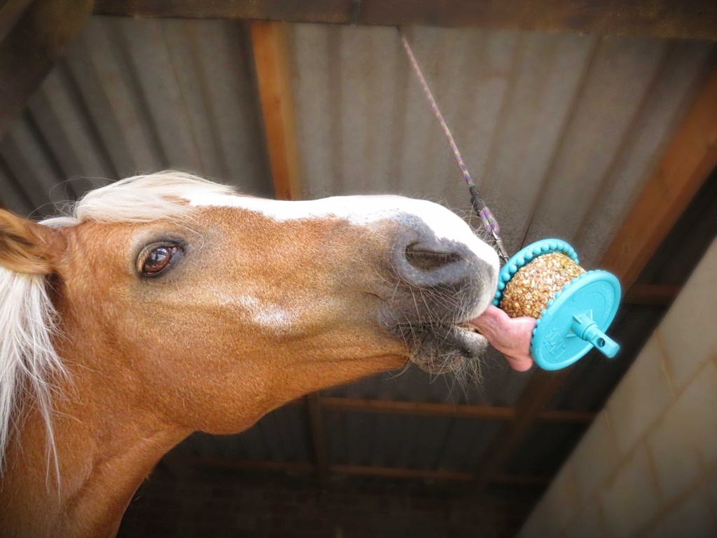 LIKIT Treats - Granola, vue 2