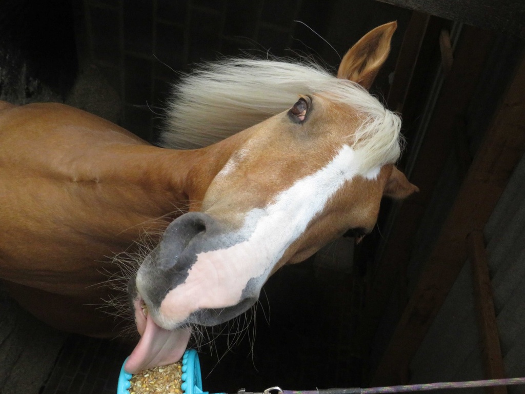 LIKIT Treats - Granola, vue 3