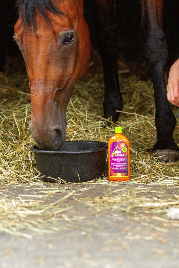 EQUINATURA Herbal Syrup, vue 2