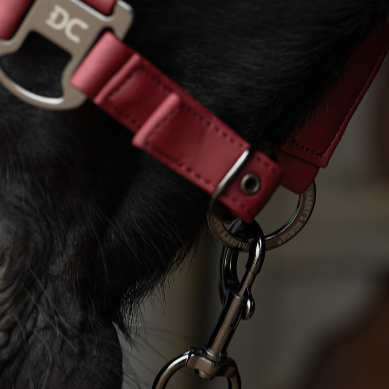 Licol et longe Denici Cavalli Onyx