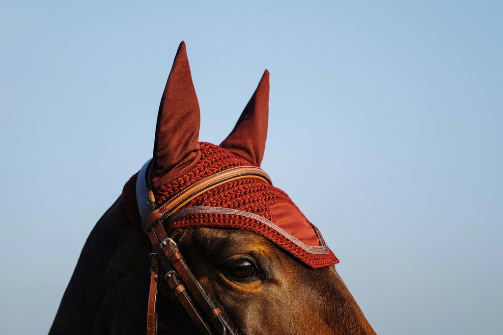 Bonnet chasse-mouches EQUITHÈME "Badge"