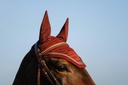 Bonnet chasse-mouches EQUITHÈME "Badge"