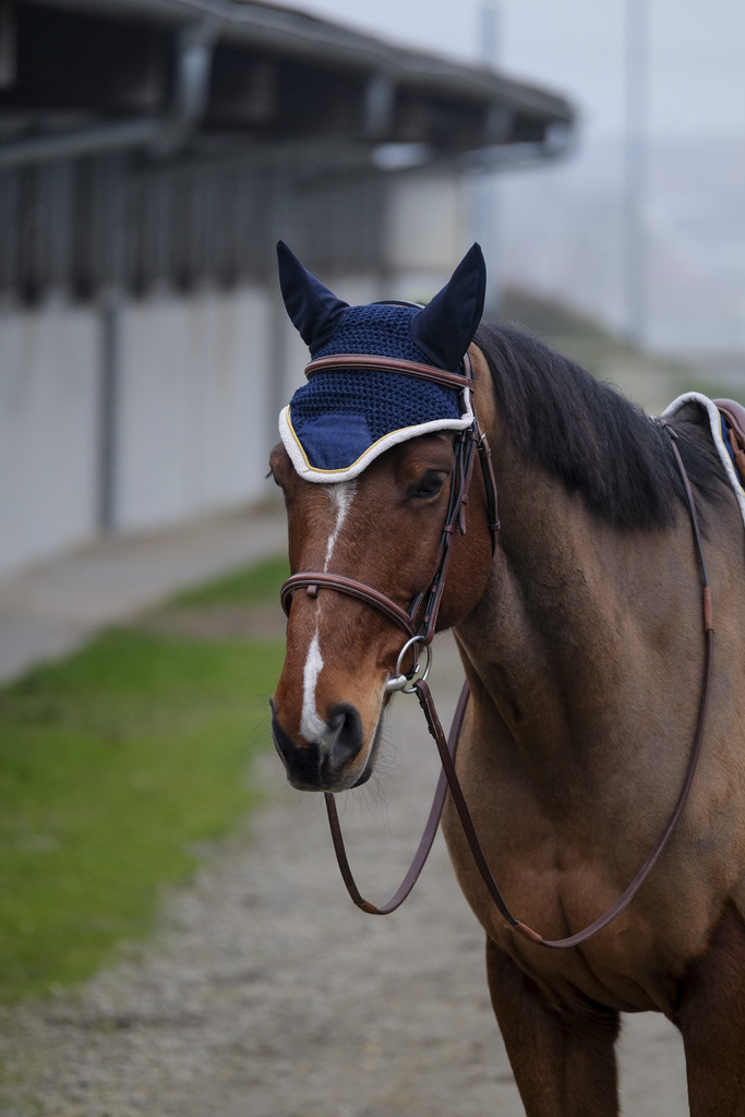 Bonnet chasse-mouches EQUITHÈME "Denim"