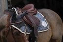 Bonnet chasse-mouches EQUITHÈME "Denim"