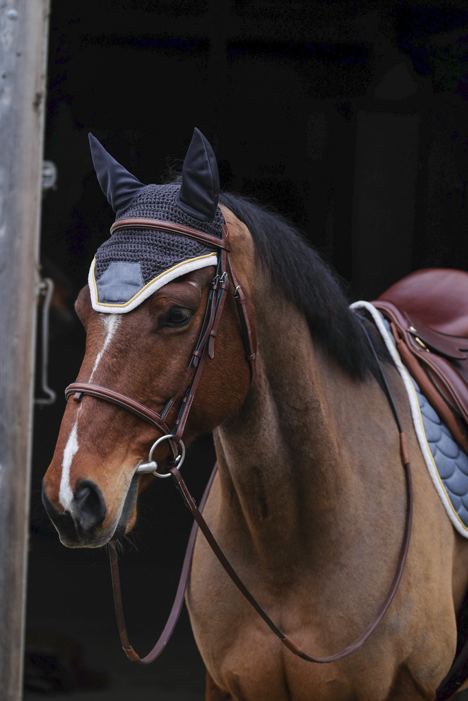 Bonnet chasse-mouches EQUITHÈME "Denim"
