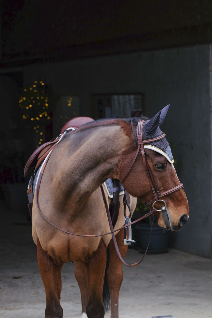 Bonnet chasse-mouches EQUITHÈME "Denim"
