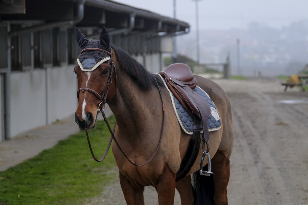 Bonnet chasse-mouches EQUITHÈME "Denim"