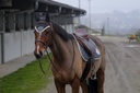 Bonnet chasse-mouches EQUITHÈME "Denim"