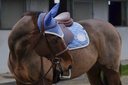 Bonnet chasse-mouches EQUITHÈME "Denim"