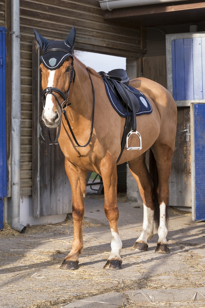 Bonnet chasse-mouches EQUITHÈME "Royal"