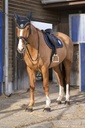 Bonnet chasse-mouches EQUITHÈME "Royal"