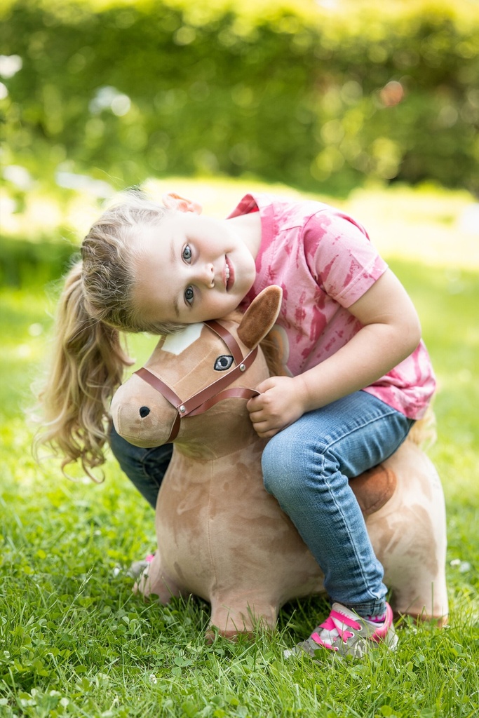 Cheval sauteur HKM, vue 7