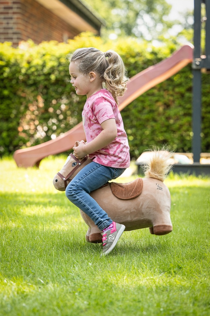 Cheval sauteur HKM, vue 8