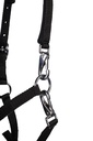 Licol poulain -Millie- HKM, vue 3