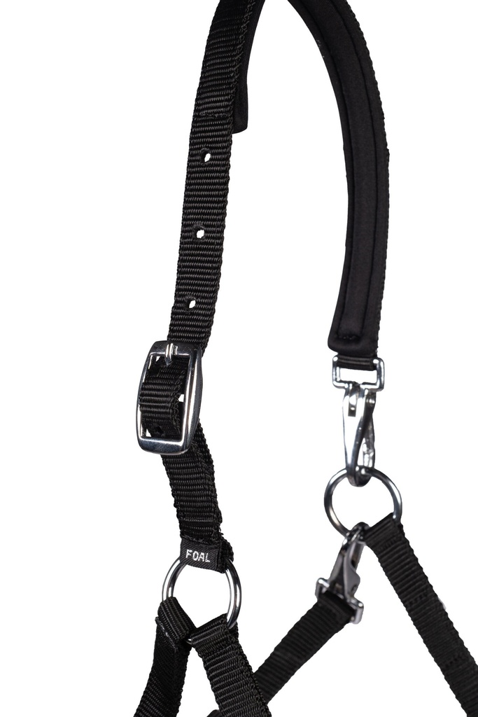 Licol poulain -Millie- HKM, vue 4