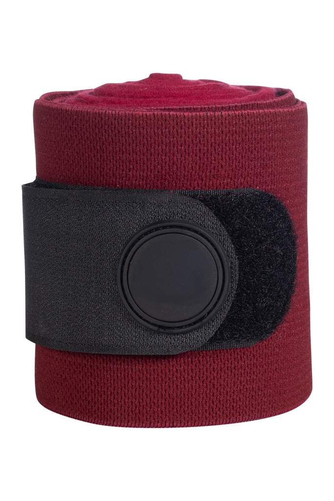 Bandes polaires -Combo- HKM, vue 3