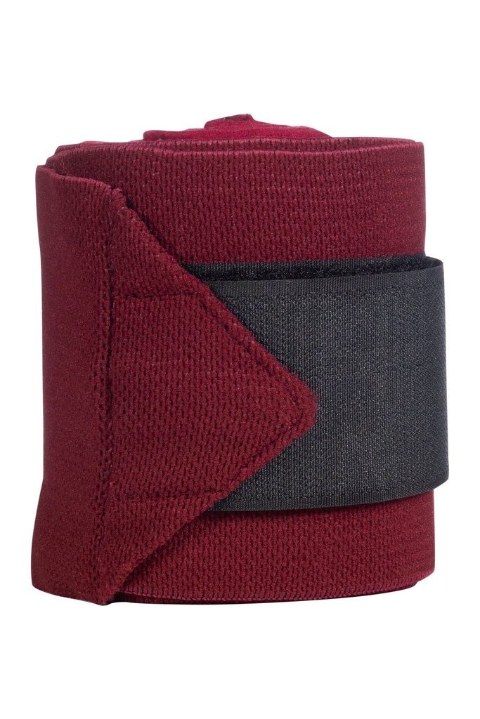 Bandes polaires -Combo- HKM, vue 4