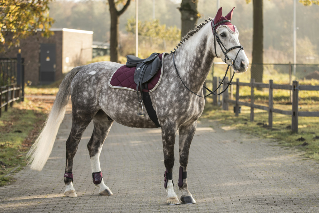Bonnet chasse-mouches LAMI-CELL "Elegance"