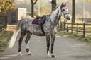Bonnet chasse-mouches LAMI-CELL "Elegance"