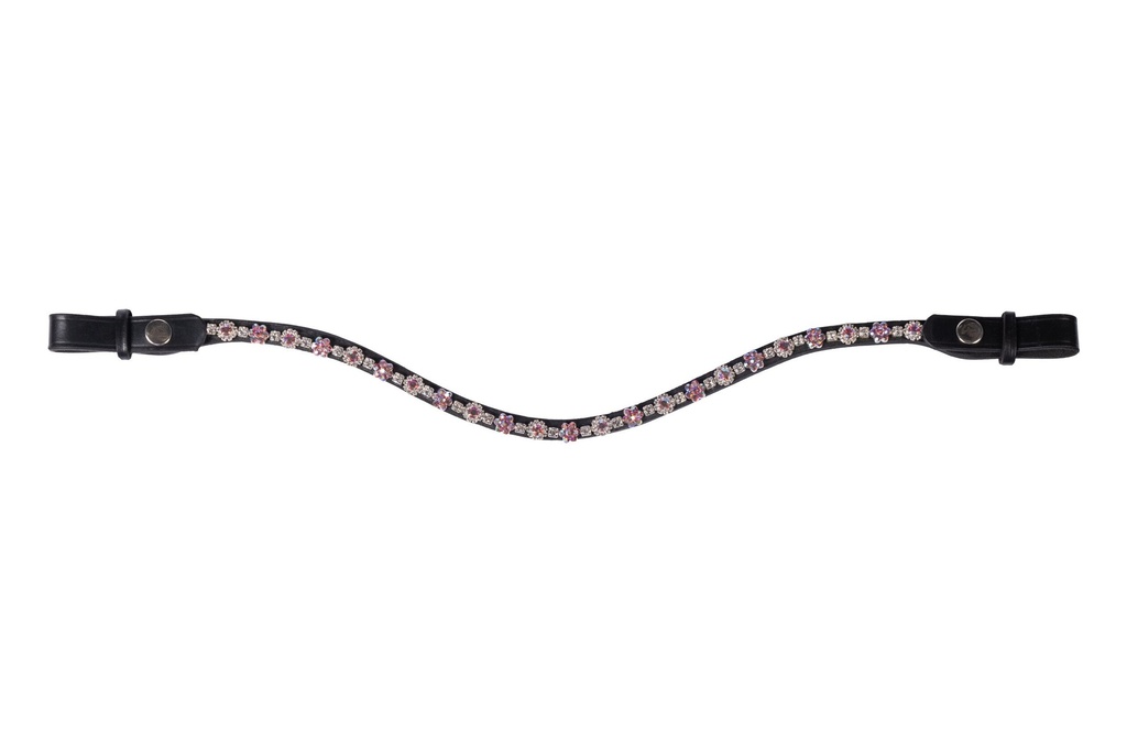 Frontal -Daisy- HKM, vue 3