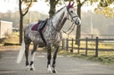 Bonnet chasse-mouches LAMI-CELL "Elegance"
