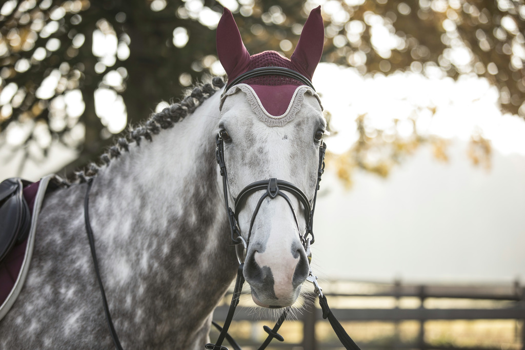Bonnet chasse-mouches LAMI-CELL "Elegance"