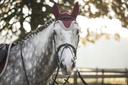 Bonnet chasse-mouches LAMI-CELL "Elegance"