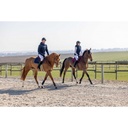 Gilet PRO SERIES -Piaffer- - 9