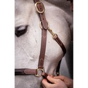 Licol cuir 3 mousquetons - PADDOCK - 2