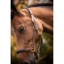 Licol cuir 3 mousquetons - PADDOCK - 4