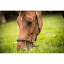 Licol cuir 3 mousquetons - PADDOCK - 5