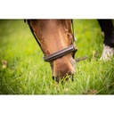 Licol cuir 3 mousquetons - PADDOCK - 7