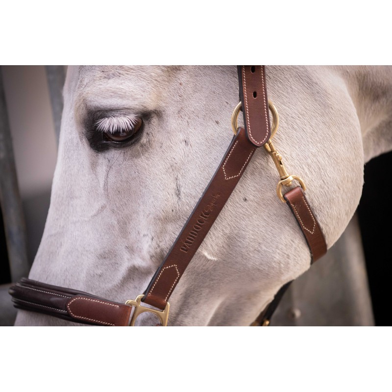 Licol cuir 3 mousquetons - PADDOCK - 9