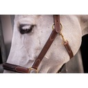 Licol cuir 3 mousquetons - PADDOCK - 9