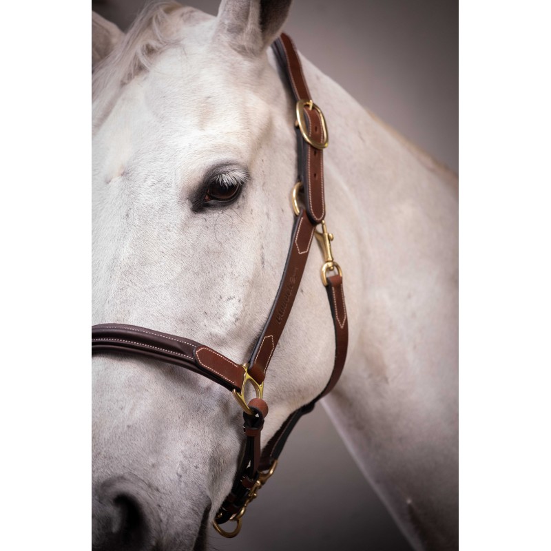Licol cuir 3 mousquetons - PADDOCK - 10