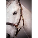 Licol cuir 3 mousquetons - PADDOCK - 10