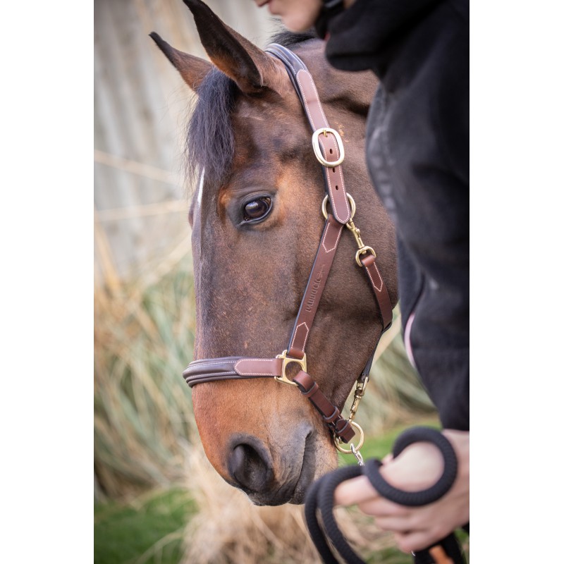 Licol cuir 3 mousquetons - PADDOCK - 11