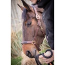 Licol cuir 3 mousquetons - PADDOCK - 11