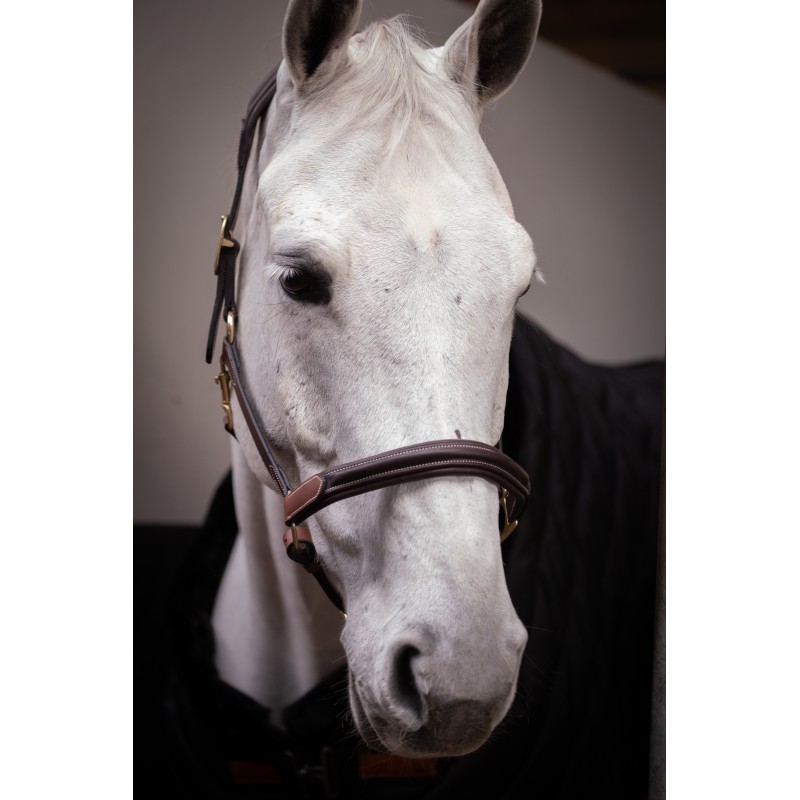 Licol cuir 3 mousquetons - PADDOCK - 12