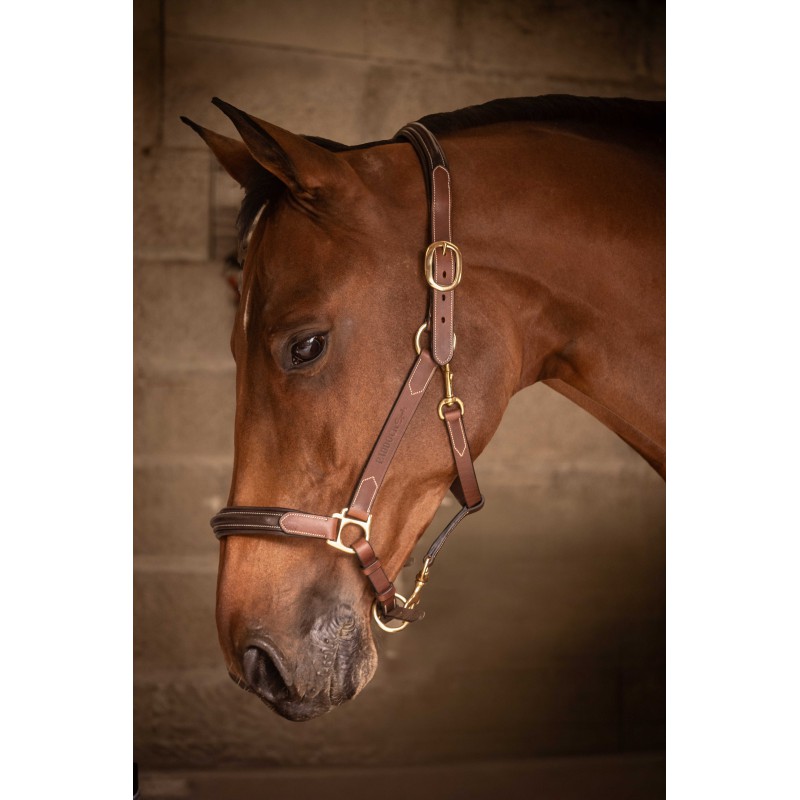 Licol cuir 3 mousquetons - PADDOCK - 13